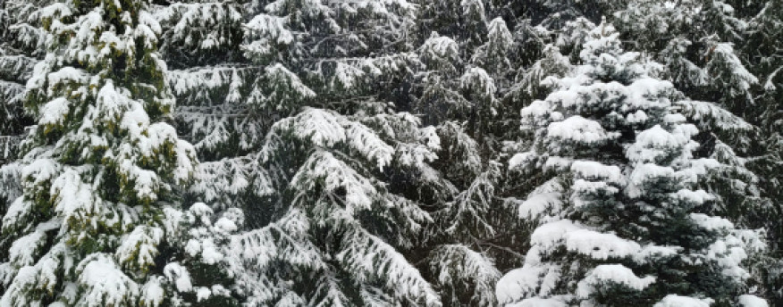 fotka 24 - Nad Strumykiem